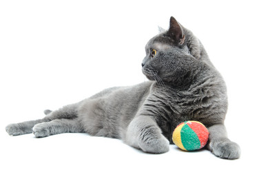 Similar image 19969687