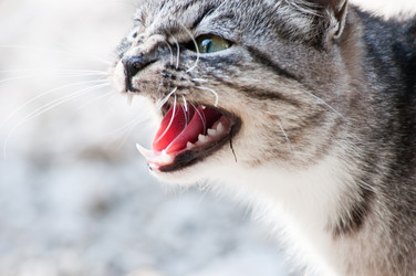 Similar image 19969689