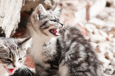 Similar image 19969691