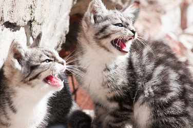 Similar image 19969694