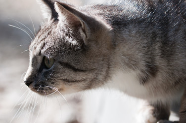 Similar image 19969696