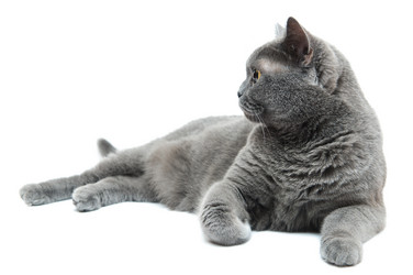 Similar image 19969698