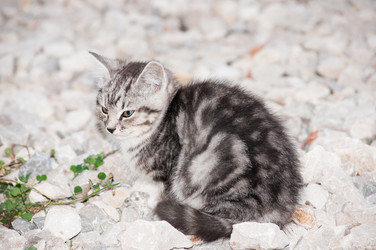 Similar image 19969700