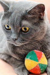 Similar image 19969702