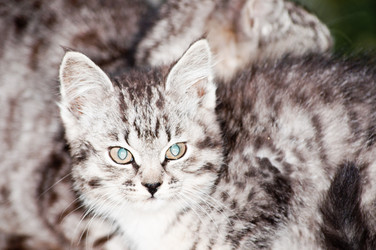 Similar image 19969703