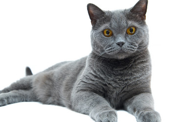 Similar image 19969705