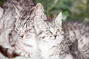 Similar image 19969709