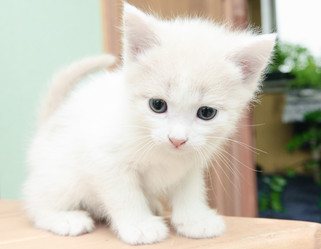 Similar image 19969712