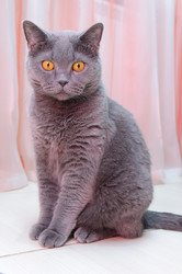 Similar image 19969714