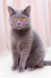 Similar image 19969716