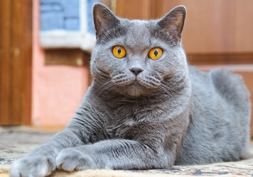 Similar image 19969717