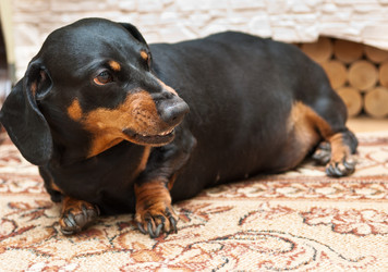 Similar image 19969719