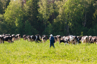 Similar image 19969722