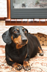 Similar image 19969724