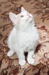 Similar image 19969730