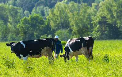 Similar image 19969732