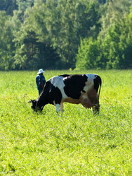 Similar image 19969734