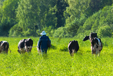 Similar image 19969740