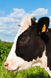 Similar image 19969741