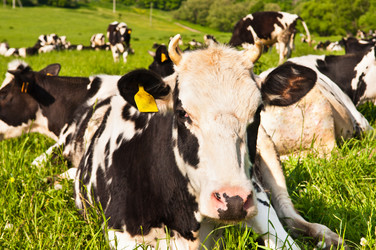 Similar image 19969745