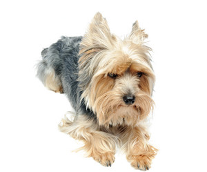 Similar image 19969771