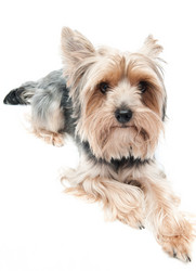 Similar image 19969779