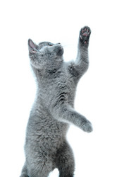 Similar image 19969781