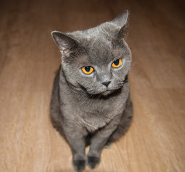 Similar image 19969795