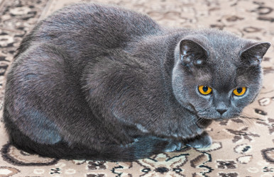 Similar image 19969804