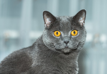 Similar image 19969811