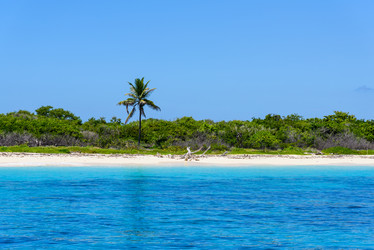 Similar image 19970102