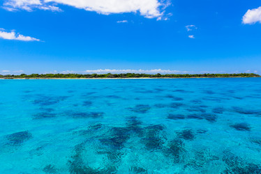 Similar image 19970134