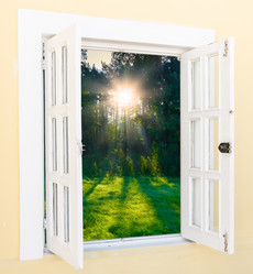 Similar image 19970204