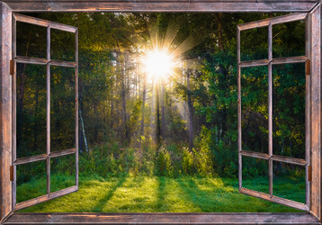 Similar image 19970236