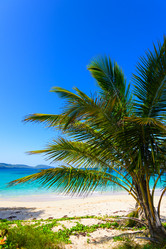 Similar image 19970259