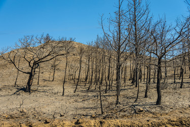 Similar image 19970340