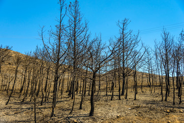 Similar image 19970343