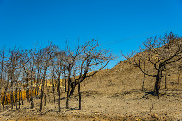 Similar image 19970345