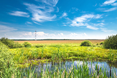 Similar image 19970351