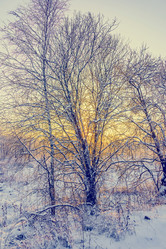 Similar image 19970354