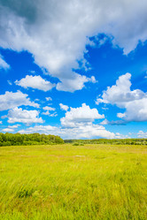 Similar image 19970378