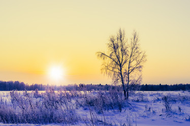 Similar image 19970380