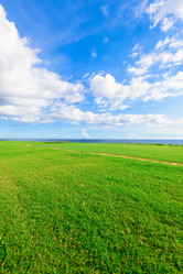 Similar image 19970384