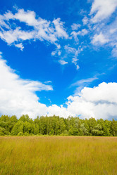 Similar image 19970389