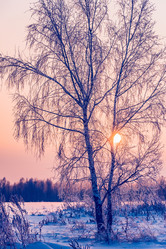 Similar image 19970400