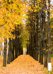 Similar image 19970430