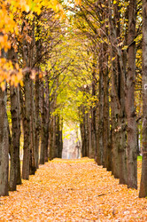 Similar image 19970439