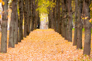 Similar image 19970444