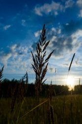 Similar image 19970446