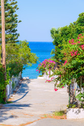 Similar image 19970456